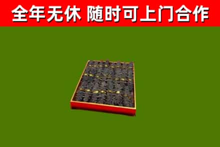 西安区回收海参